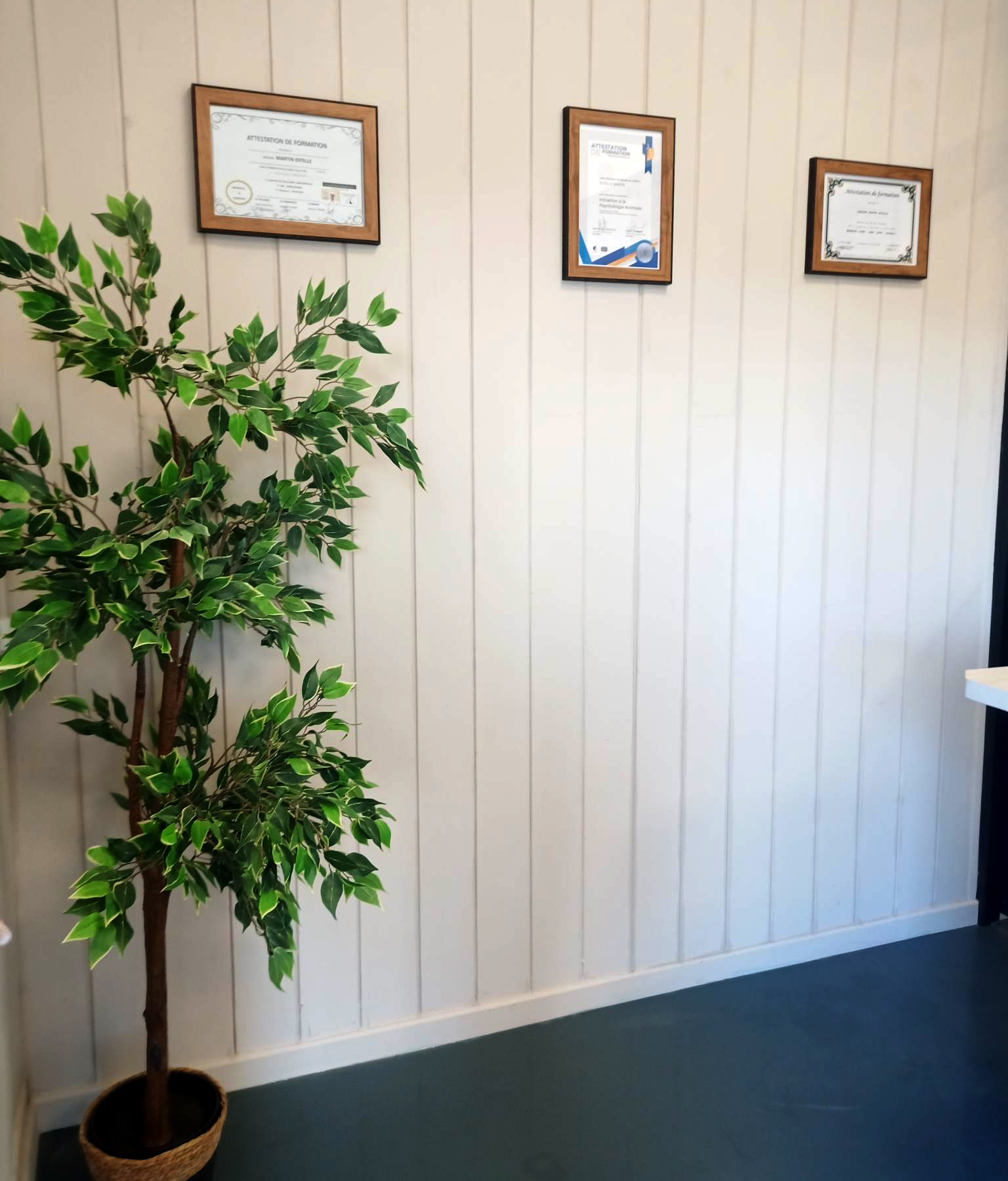 Diplomes Patoune & Compagnie