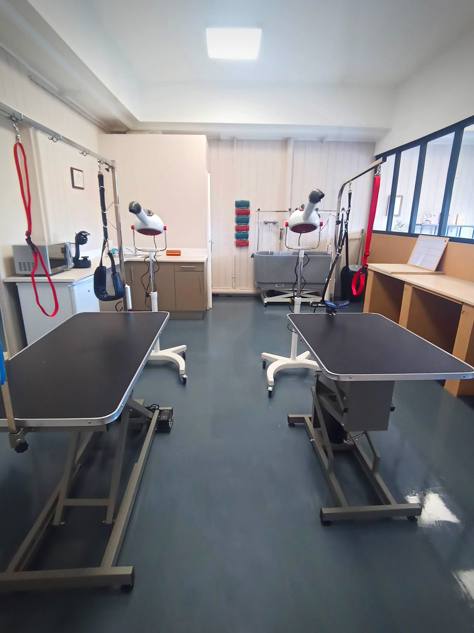 Salle de toilettage Patoune & Compagnie